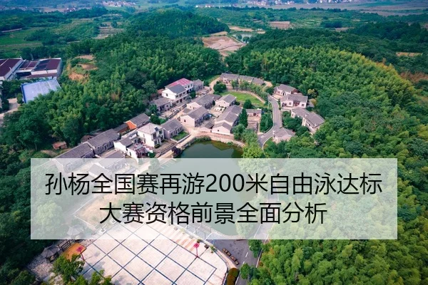 孙杨全国赛再游200米自由泳达标大赛资格前景全面分析